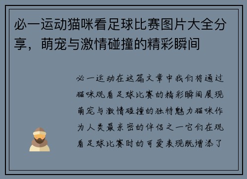 必一运动猫咪看足球比赛图片大全分享，萌宠与激情碰撞的精彩瞬间